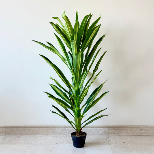 ARTIFICIAL DRACAENA GREEN PLANT